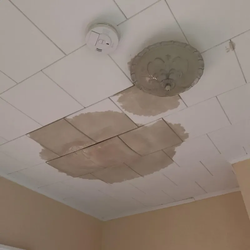 Ceiling Water Damage Repair in Wilcox County, GA