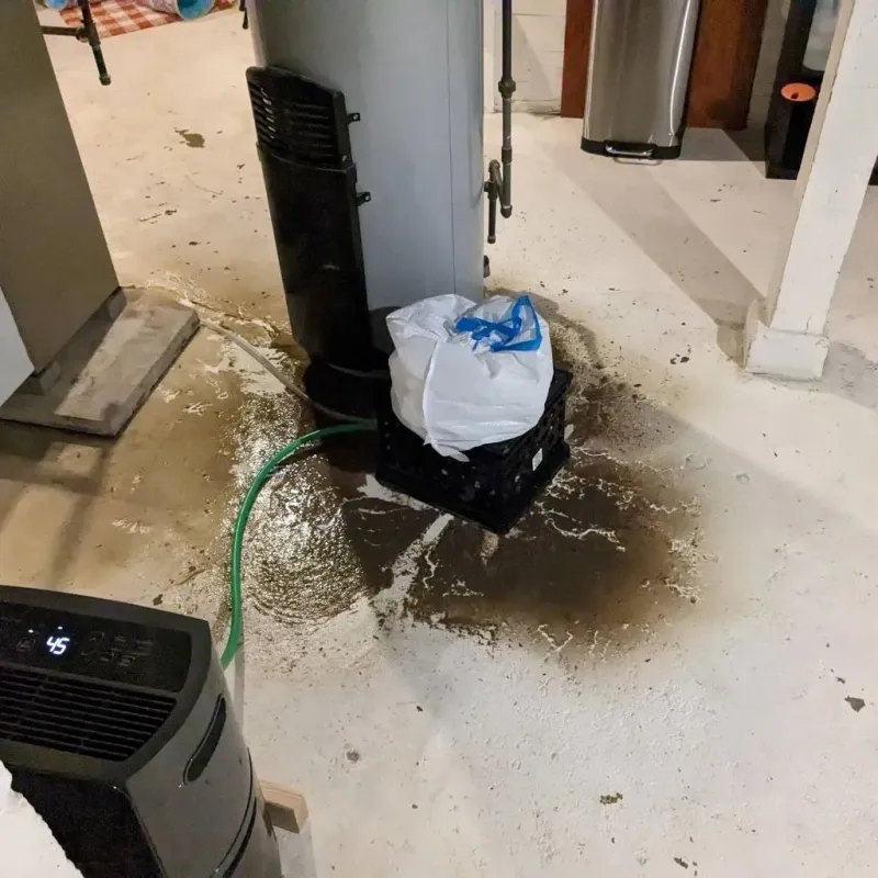 Sewage Backup Cleanup Service in Wilcox County, GA